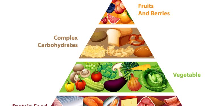 Food Pyramid: Comprehensive Guide for Children’s Nutrition