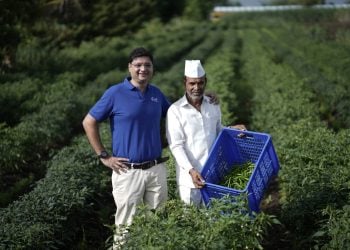 Ferns’ Food: A Heritage of Health, Tradition, and Innovation since 1937