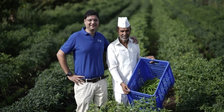 Ferns’ Food: A Heritage of Health, Tradition, and Innovation since 1937
