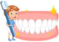 Importance of Early Dental Care