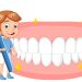 Importance of Early Dental Care