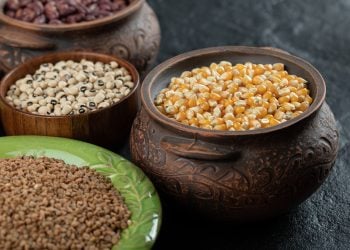 Bhil Community’s Food Heritage