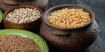 Bhil Community’s Food Heritage