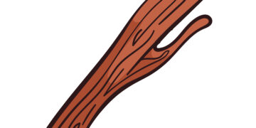 The Timeless Twig: How Datoon Stays Relevant in Modern Oral Care