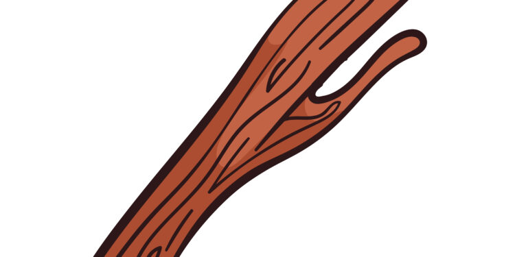 The Timeless Twig: How Datoon Stays Relevant in Modern Oral Care