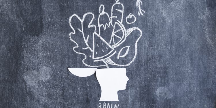 How Diet Affects the Brain!