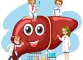 Children with Biliary Atresia Can Be Completely Cured with Liver Transplant